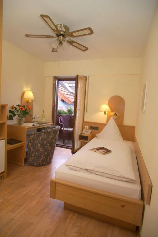 Hotel Rose Heidelberg Inklusive Fruehstueck & Saunanutzung エクステリア 写真
